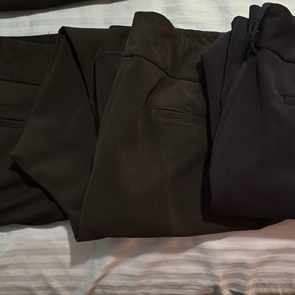 Women’s Dress Pants
